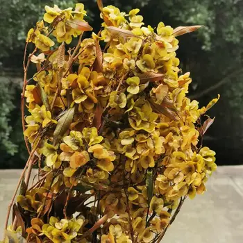 60g/25-35cm,Dabas Konservēti butterfly ziedu Pušķi,Mūžīgo displejs organizēt ziedi Kāzu Mājas Dekorēšanas piederumi